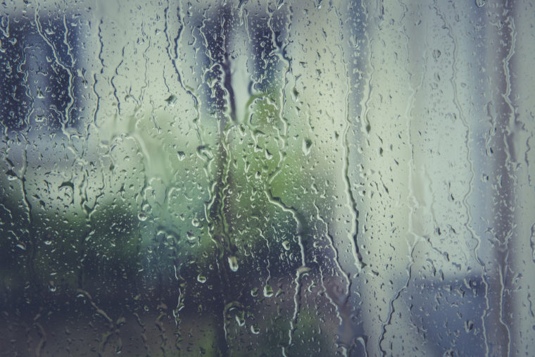 Rainy day window